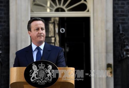 Brexit: les Britanniques votent la sortie de l'UE, David Cameron annonce sa démission - ảnh 1